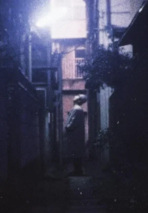 Постер: Tokyo Dusk