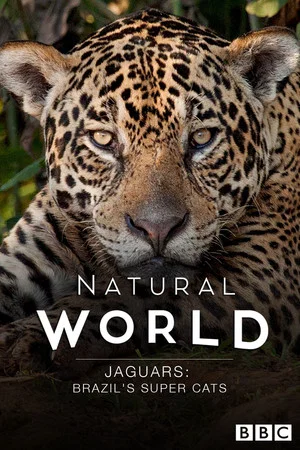 Постер: Jaguars: Brazil's Super Cats