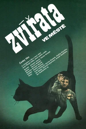 Постер: Zvířata ve městě