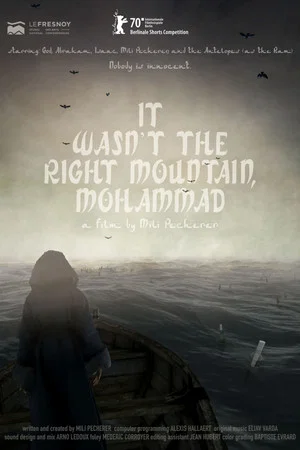 Постер: It Wasn't the Right Mountain, Mohammad