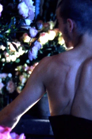 Постер: Quelques fleurs pour un chant d'amour