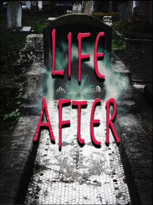 Постер: Life After