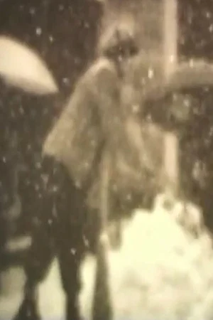 Постер: Winter 1994