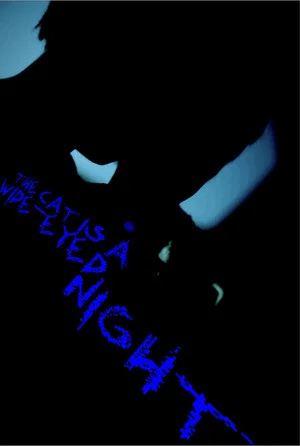 Постер: The Cat Is A Wide-Eyed Night