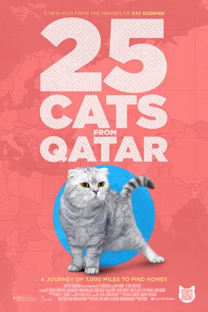 Постер: 25 Cats from Qatar