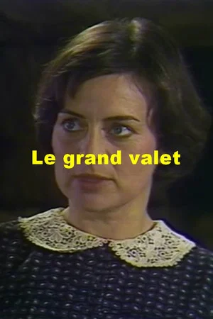 Постер: Le grand valet