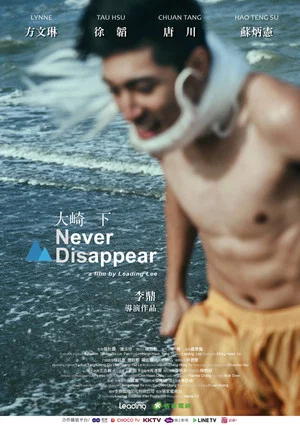 Постер: Never Disappear