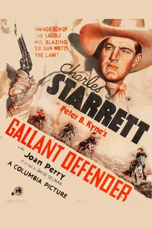 Постер: Gallant Defender