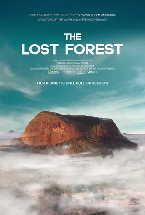 Постер: The Lost Forest