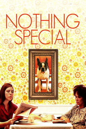 Постер: Nothing Special