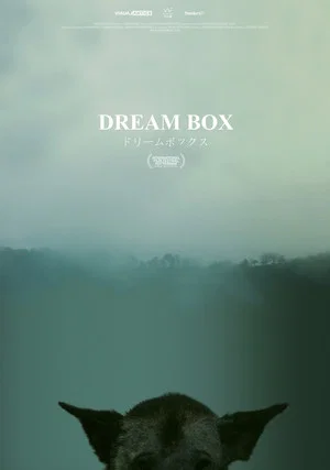 Постер: Dream Box