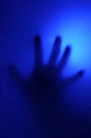 Постер: The Veil