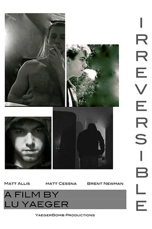 Постер: Irreversible