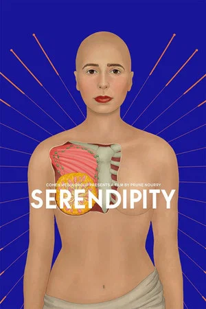 Постер: Serendipity