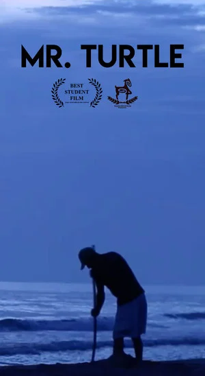 Постер: Mr. Turtle