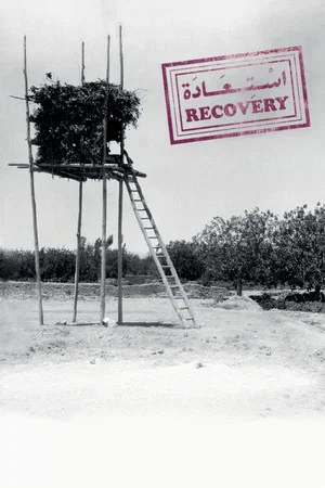 Постер: Recovery