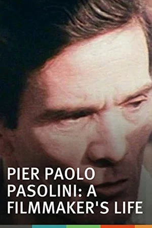 Постер: Pier Paolo Pasolini: A Film Maker's Life