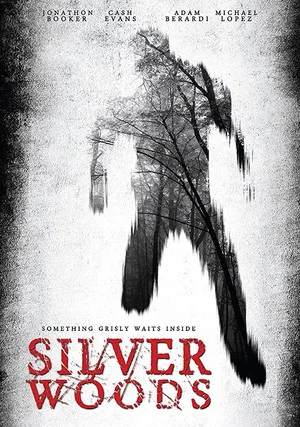Постер: Silver Woods