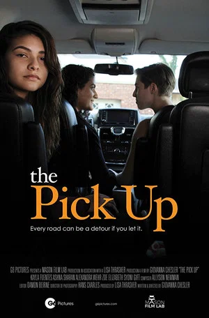 Постер: The Pick Up