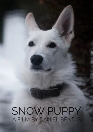 Постер: Snow Puppy