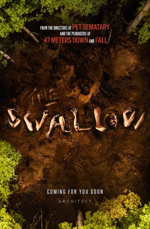 Постер: The Swallow