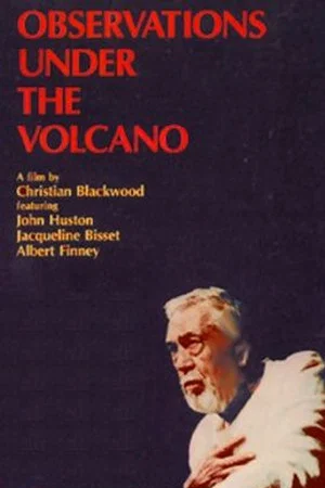 Постер: Observations Under the Volcano