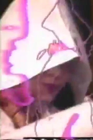 Постер: Video Installations 1970-1994