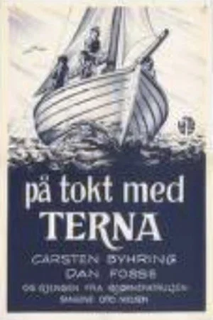 Постер: På tokt med terna