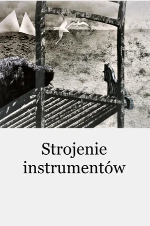 Постер: Strojenie instrumentów