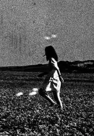 Постер: Dream Enclosure