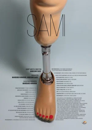 Постер: Sami