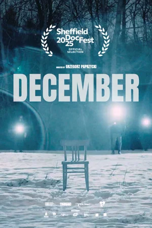 Постер: December