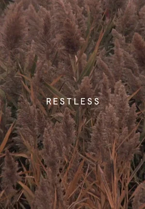 Постер: Restless
