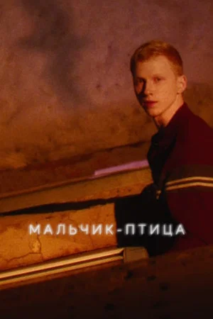 Постер: Мальчик-птица