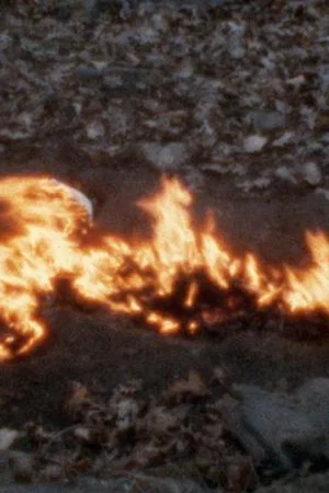 Постер: Alma, Silueta en Fuego