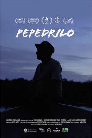 Постер: Pepedrilo