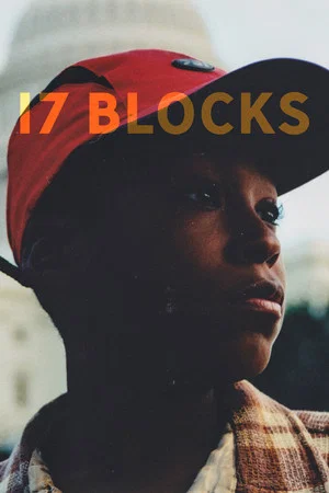 Постер: 17 Blocks