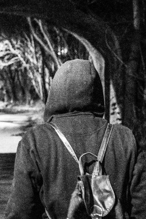 Постер: I Should Have Run