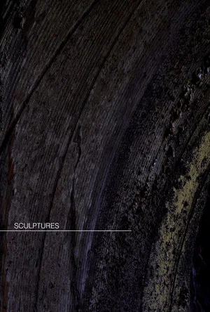 Постер: Sculptures [short]