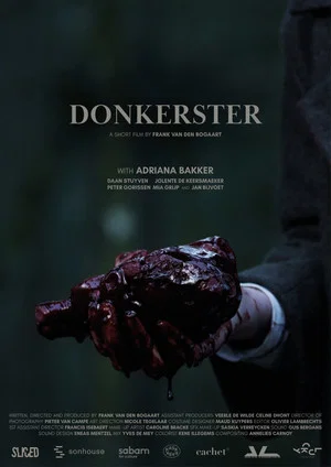 Постер: Darker