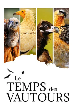 Постер: Le Temps des vautours