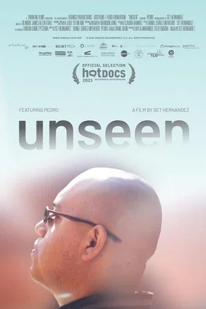 Постер: unseen