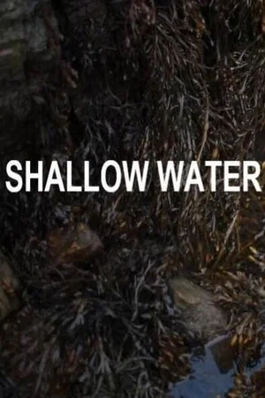 Постер: Shallow Water