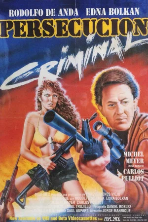 Постер: Persecución criminal