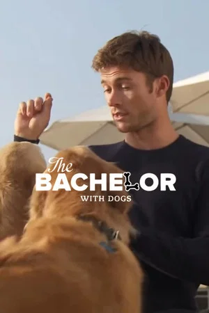 Постер: The Bachelor with Dogs and Scott Eastwood