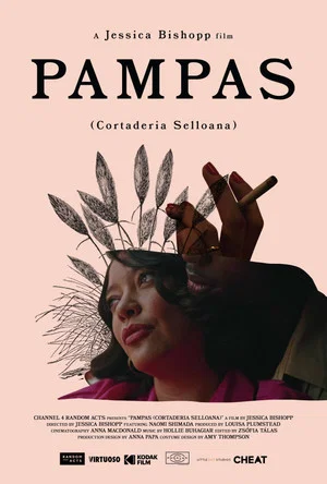 Постер: Pampas