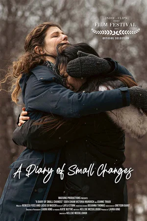 Постер: A Diary of Small Changes