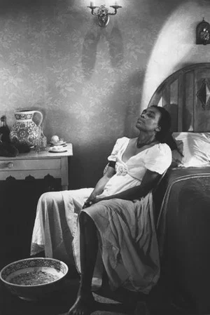 Постер: Dreaming Rivers