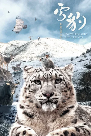 Постер: Snow Leopards and Friends