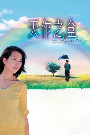 Постер: The Miracle Box